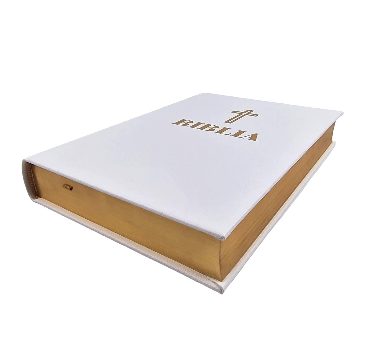 Biblia 100-Editie De Lux (Piele)