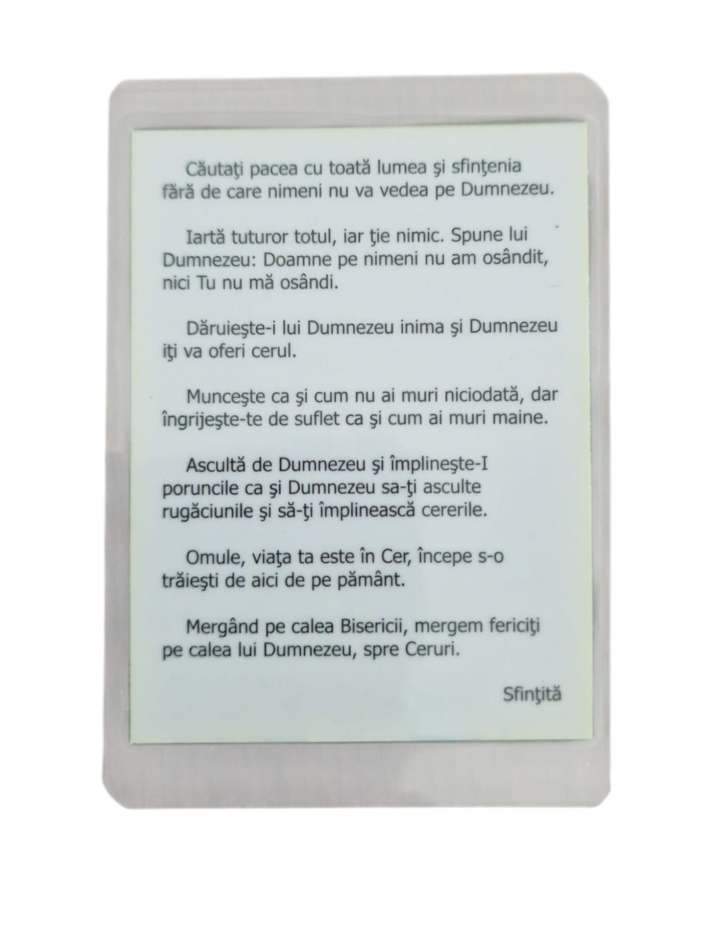 ICONITA PLASTIFIATA SF. IOAN RUSUL