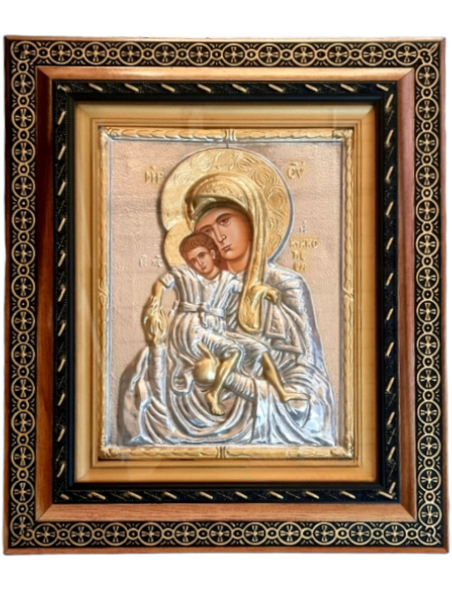 MAICA DOMNULUI CHICOTISA K 801