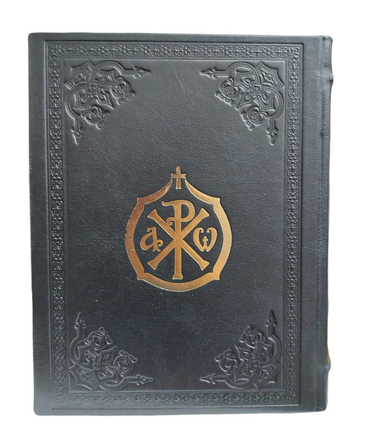 BIBLIA ANANIA LEGATA IN PIELE