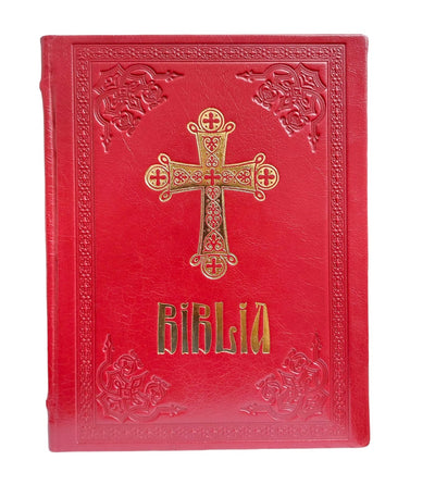 BIBLIA ANANIA LEGATA IN PIELE