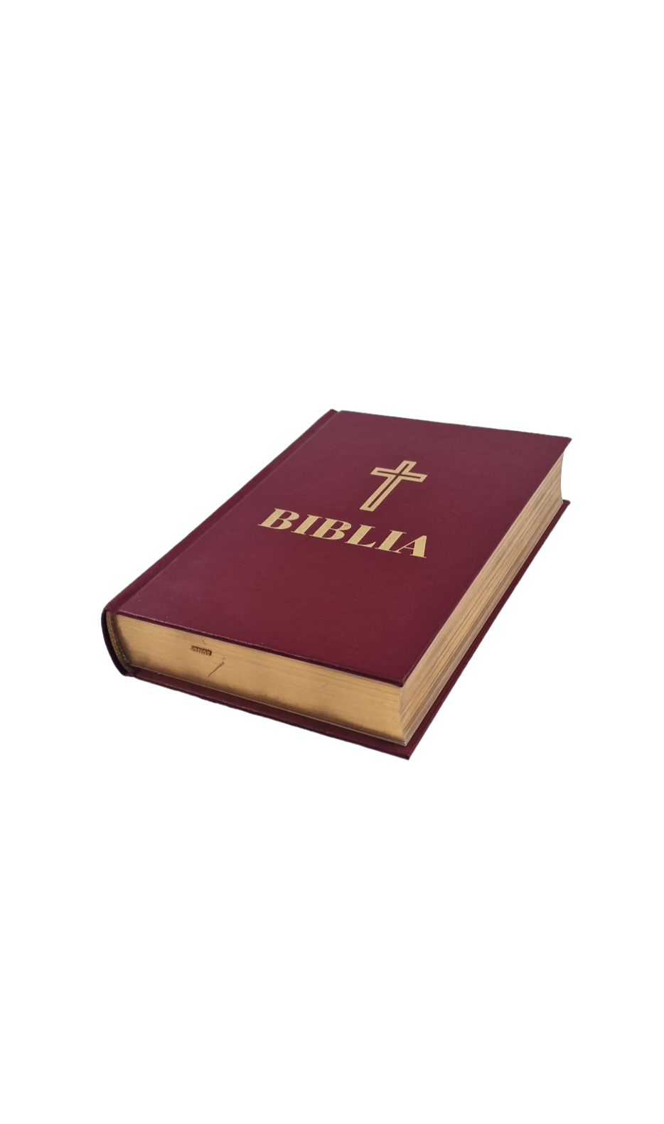 BIBLIA 053 GRENA / AURITA