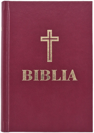BIBLIA 053 GRENA / AURITA