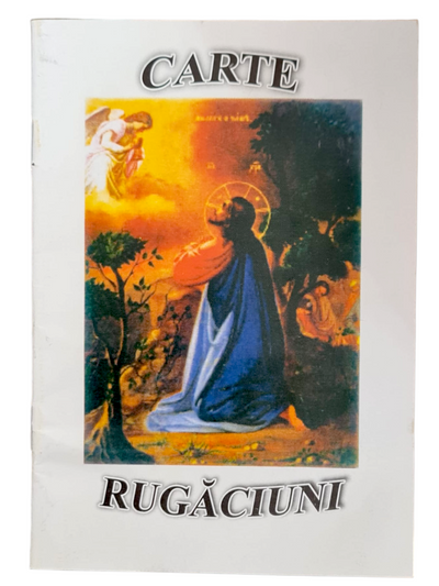 CARTE RUGACIUNI 2 (ALBA SUBTIRE)
