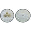 CANDELE 517-31