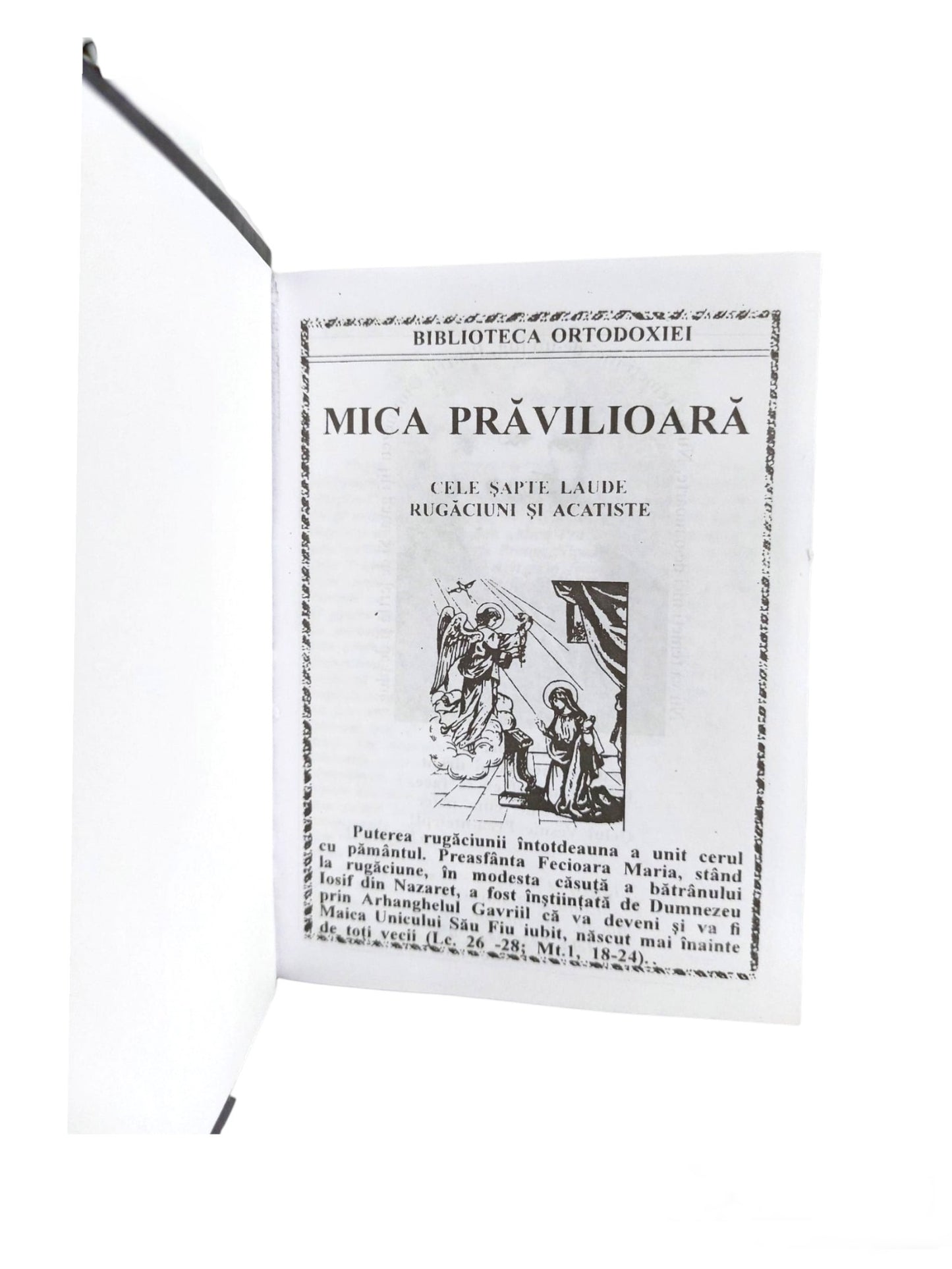 MICA PRAVILIOARA