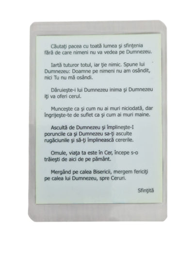ICONITA PLASTIFIATA SF. IOAN RUSUL