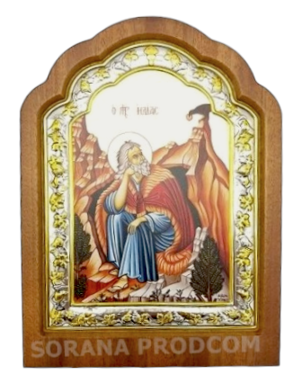 ICOANA - SFANTUL ILIE
