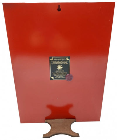 MAICA DOMNULUI ILIOKALI 906